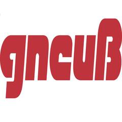 Logo Prime Promotion