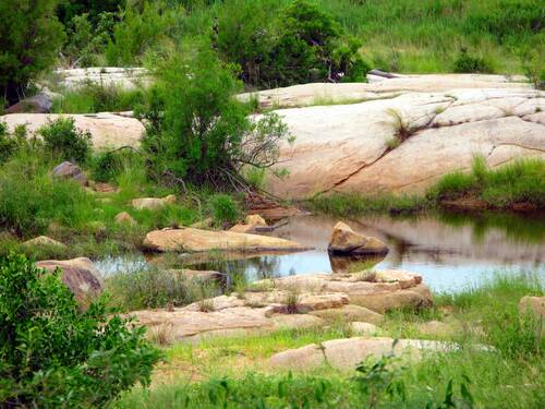 kruger national park, pool, stones, kruger national park, kruger national park, kruger national park, kruger national park, kruger national park