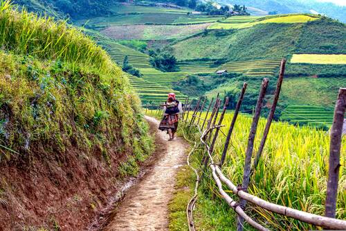 mother, son, village, road, landscape, way home, blind cang comb, lao cai, vietnam, terraces, sunlight, blind cang comb, lao cai, vietnam, vietnam, vietnam, vietnam, vietnam