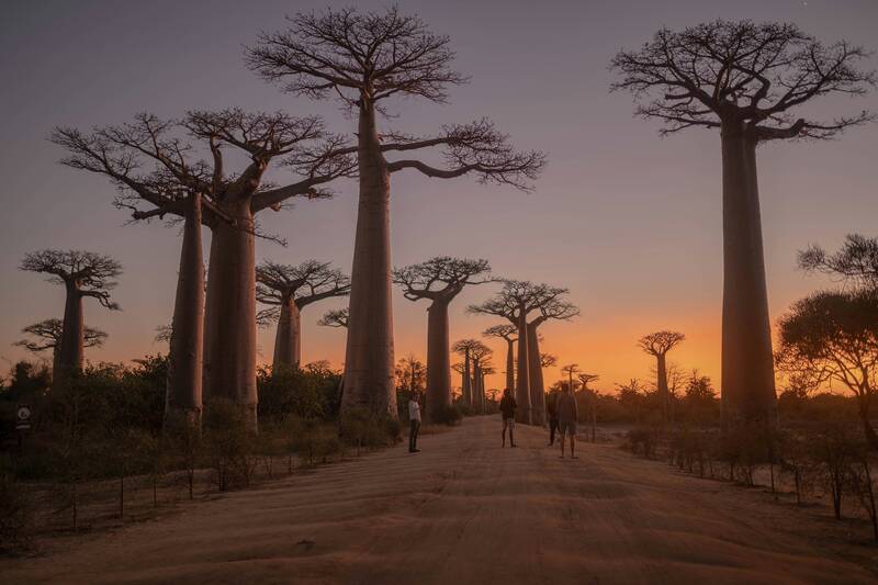 unsere-reisen/madagaskar-2027-s141877