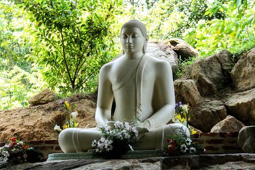 buddha, sri lanka, mahamevnawa